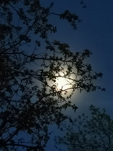 lune 🌙 voilée Saint-Jacques, QC