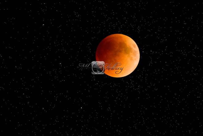 The Super Flower Blood Moon Lunar Eclipse. Roberts Arm, Newfoundland and Labrador