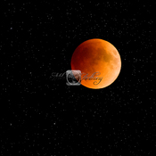 The Super Flower Blood Moon Lunar Eclipse.