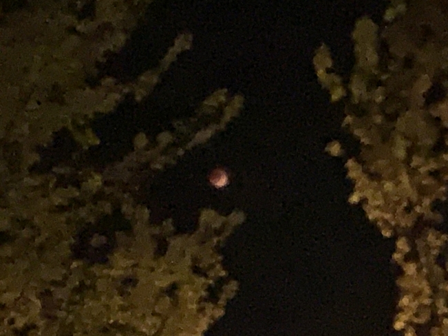 Lunar eclipse 16/05/22 Cowansville, Quebec, CA