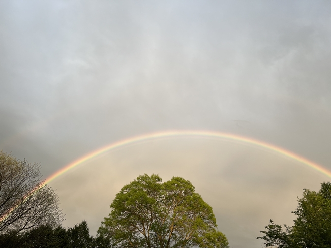 Rainbow London, Ontario, CA