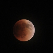 Flower blood moon eclipse
