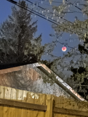 The Blood Moon rises once again!! Regina, Saskatchewan, CA