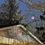 The Blood Moon rises once again!!
