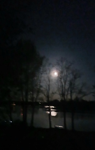 Moon light Fowlers Corners, ON