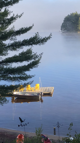 Beautiful morning on Mary Lake🥰 Port Sydney, Ontario, CA