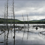 Pond, Elliot Lake.