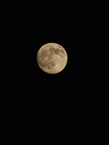 Full Moon in May Spruce Grove, AB