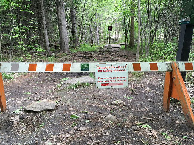 Jack Pine Trail Ottawa, ON