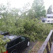 storm damage Norwood Ontario