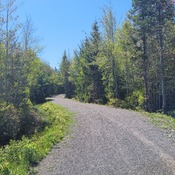 scout trail