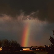 Rainbows of Saskatchewan