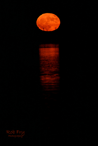 Super Strawberry Moon 25H5+9P Cornwall, ON, Canada