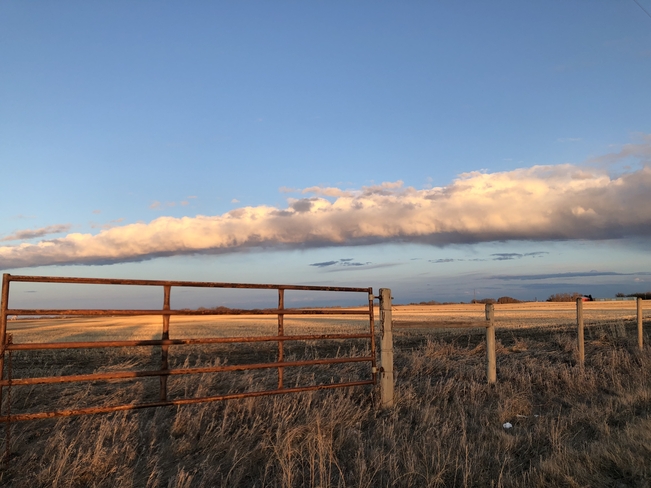 A long & narrow cloud St. Albert, Alberta, CA