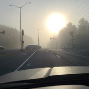 Foggy morning commute