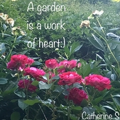 A Garden is a Work of Heart