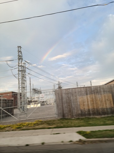 rainbow Guelph, ON