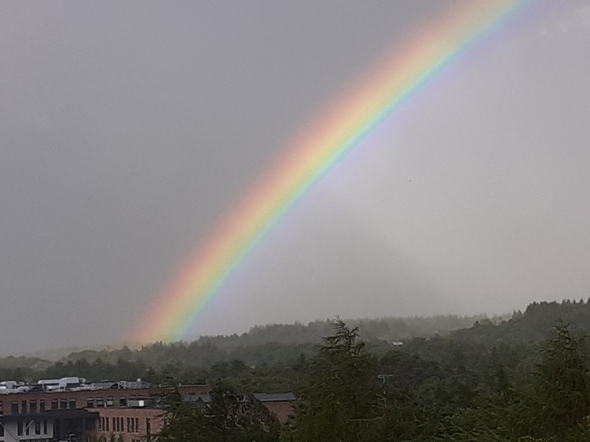 Nice rainbow from rain about a hour ago Scotland, UK