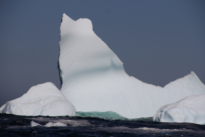 Iceberg Alley Twillingate, NL