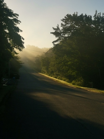 Early Morning Sun Dartmouth, NS