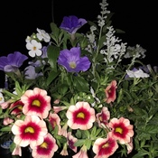 Un bouquet de fleurs pour vous!😉