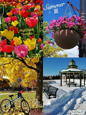 June 30 2022 Beautiful four seasons in Canada - Thornhill/Toronto Ontario Thornhill, ON