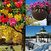June 30 2022 Beautiful four seasons in Canada - Thornhill/Toronto Ontario