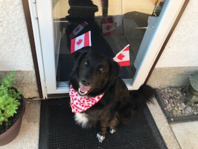 Tommy is ready for Canada Day Brandon