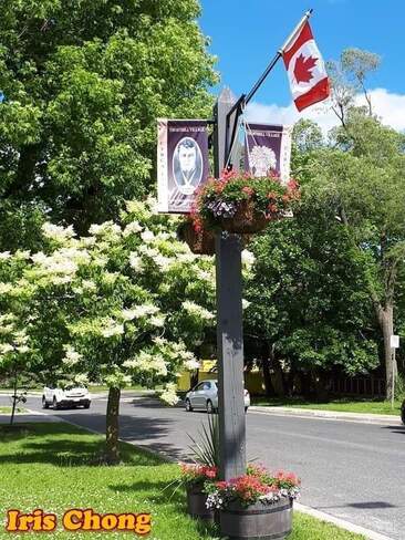 July 1 2022 Happy Canada Day! John Street - Greetings from Thornhill Thornhill, ON