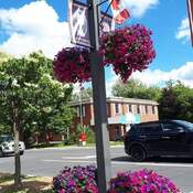 July 1 2022 Happy Canada Day! John Street - Greetings from Thornhill
