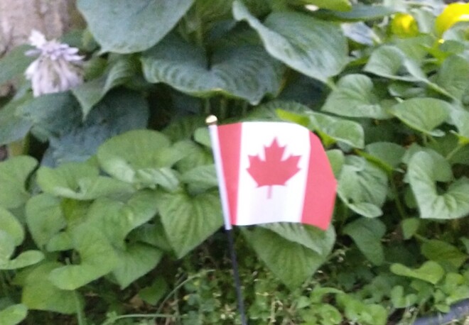 happy Canada Day Aldershot, ON