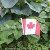 happy Canada Day