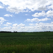 Country Fields Scenery