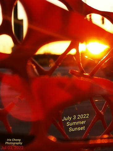 July 3 2022 8:48pm Seeing through Summer glowing sunset in Thornhill Thornhill, ON