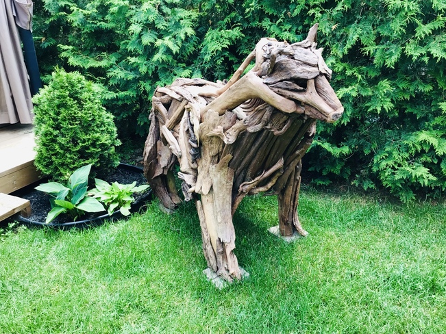 Driftwood animals Ottawa, ON