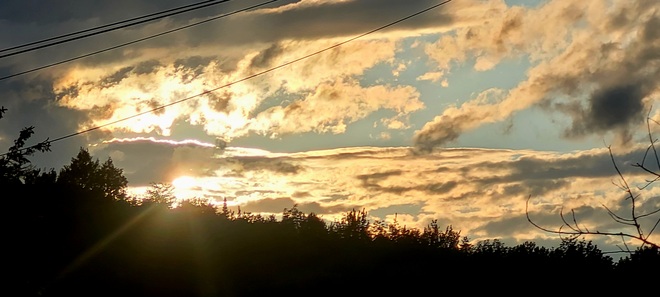 a ray of sunshine Hampton, NB