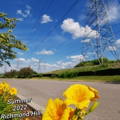 July 5 2022 22C Petunias - Delightful Summer 2022 - Richmond Hill