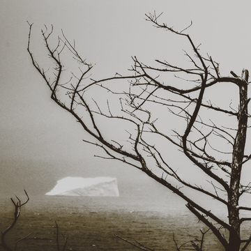 An iceberg in the fog.