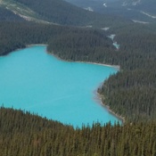 Lac Peyto en Alberta
