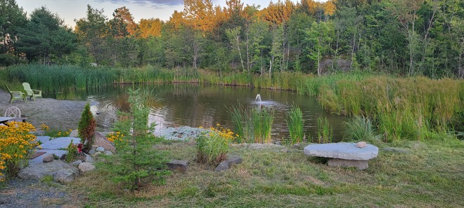 Back Yard pond. Hot summer evening Azilda, Greater Sudbury, ON