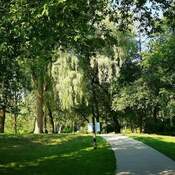 August 8 2022 28C Peaceful Summer - Marita Payne Park in Thornhill