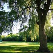 August 8 2022 28C Peaceful Summer - Marita Payne Park in Thornhill