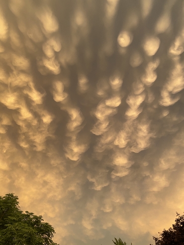 Wicked and ominous looking sky… August 8 2022 Blenheim, Ontario, CA