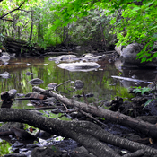 The Creek At Shade's Mill Conservation Area