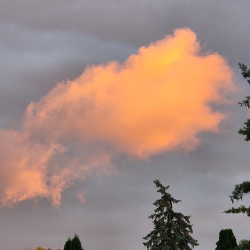 Evening Cloud