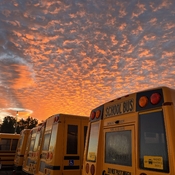 School bus horizon