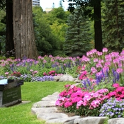 Flower gardens