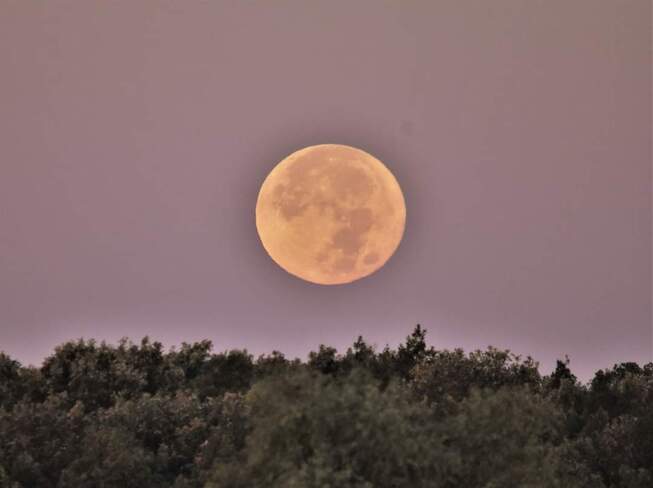 moon Tilbury, ON