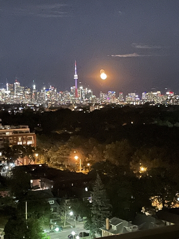 Beautiful huge moon Toronto, Ontario | M6P 4B4