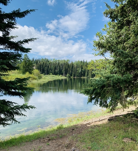 Nechako River Fraser Lake, British Columbia | V0J 1S0